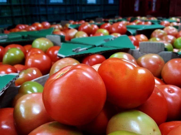Preços de alimentos e bebidas recuam 0,67% em julho