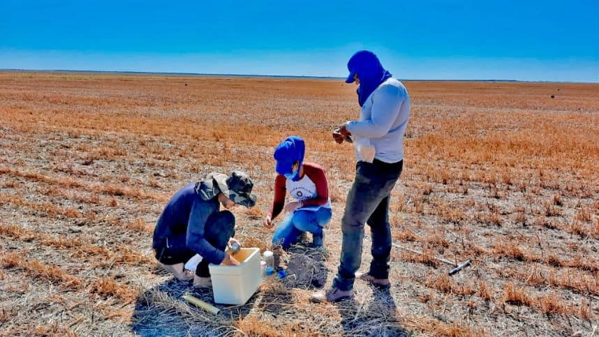 Projeto no Oeste da Bahia busca diminuir impacto ambiental causado pela emissão de gases do efeito estufa