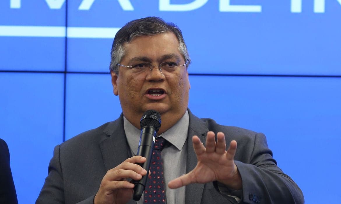 Ministro do STF ordena que governo intensifique ações contra incêndios na Amazônia e no Pantanal