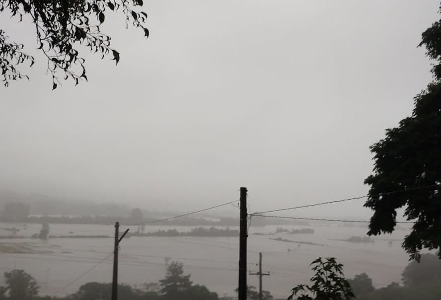 Possível escassez de arroz no Brasil: autoridades e setor analisam consequências das chuvas no RS