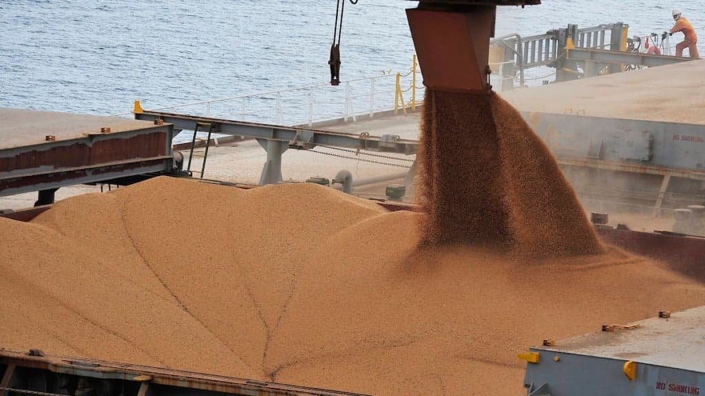 Soja: Chicago busca lucros e monitora impacto das enchentes no Brasil