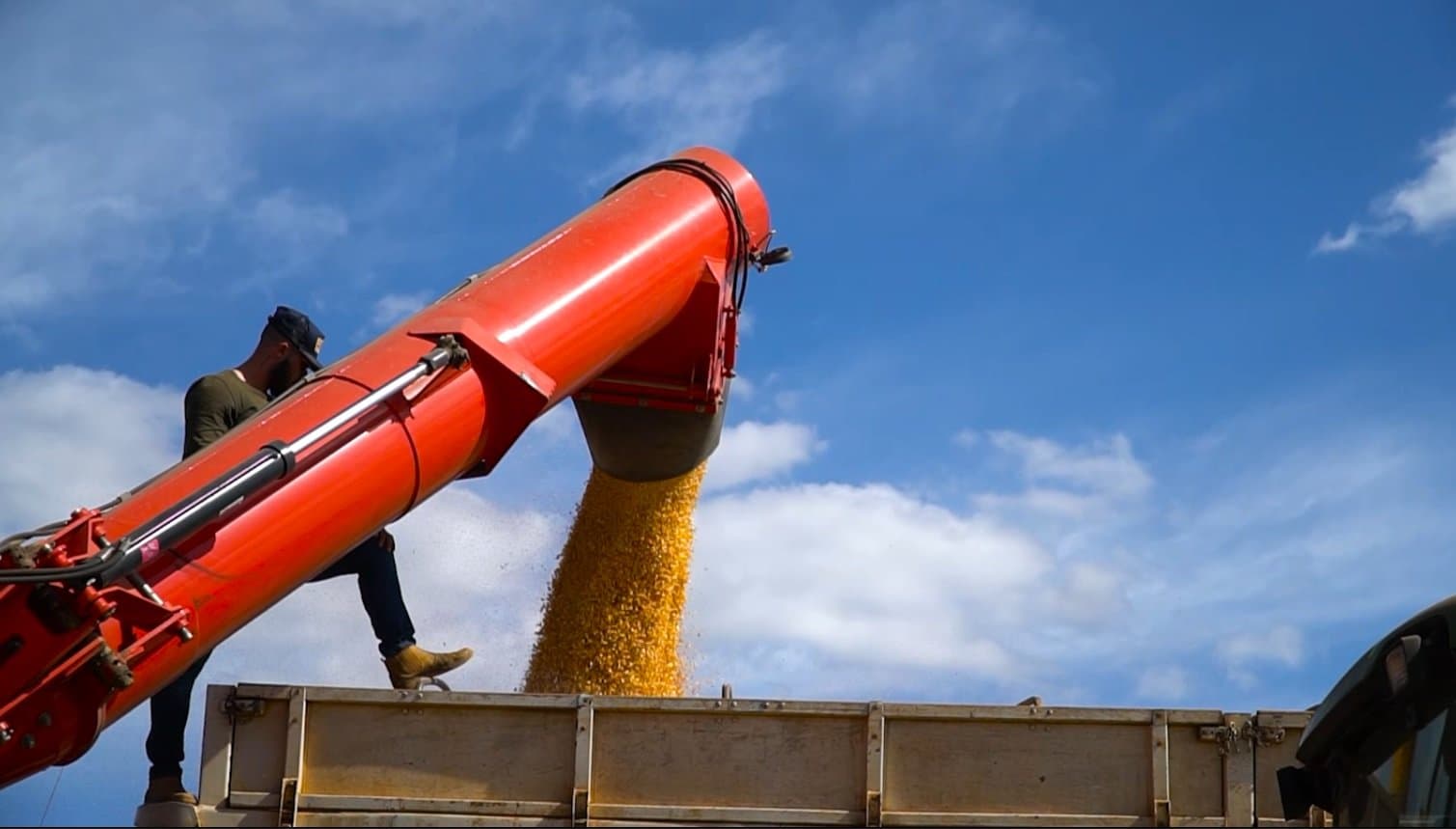 Sustentação de preços de milho é atribuída à queda nas vendas