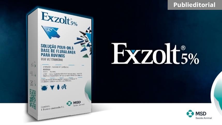 Dicas para controlar carrapatos em ambientes com temperaturas elevadas