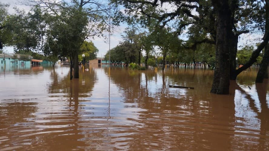 Ceasa do Rio grande do Sul volta a funcionar a partir de amanhã