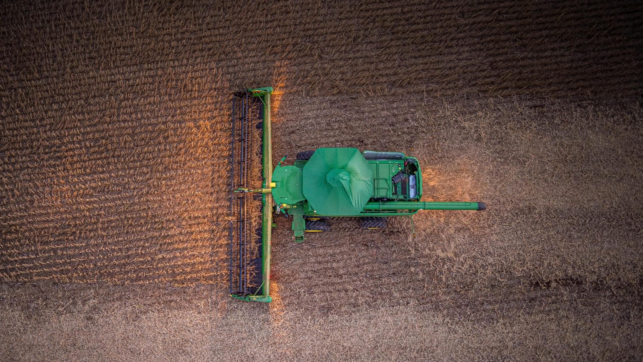 Cresce significativamente em meio ao cenário econômico atual.