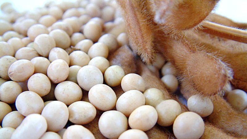 Soja atinge novo patamar de preço e estimula a venda no Brasil