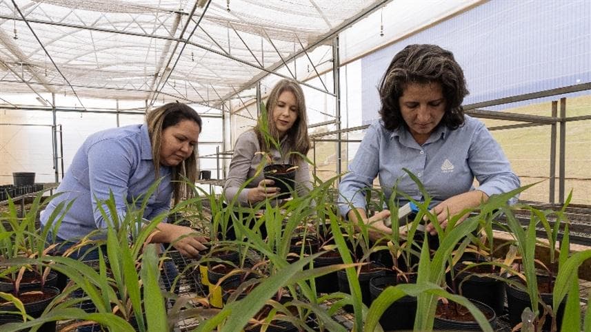 Agrocete entra no mercado de biocontrole com novos produtos.