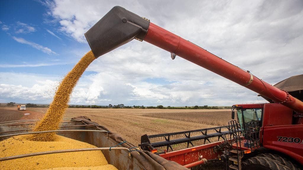 Início da reação nas vendas de sementes de soja para a safra 2024/25 no Brasil