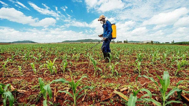 Diminuição prevista no ritmo de ampliação do crédito rural para o produtor individual