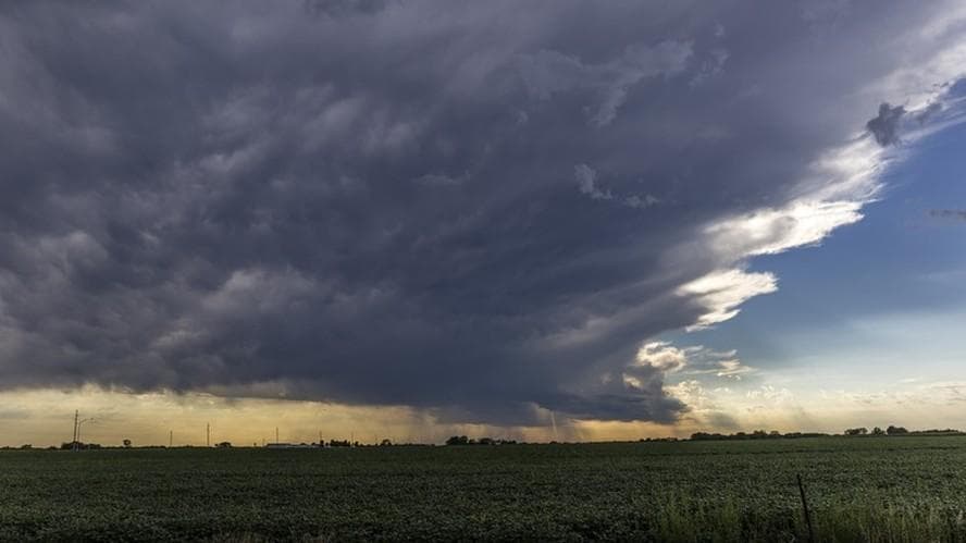 Demanda de R$ 2 bilhões do Ministério para seguro rural na safra 2024/25
