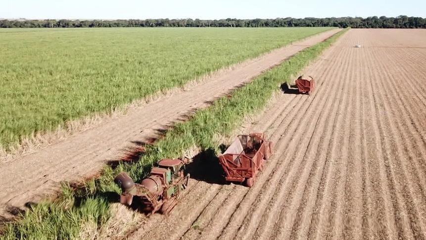 Cresce a moagem de cana-de-açúcar e a produção de açúcar e etanol em abril