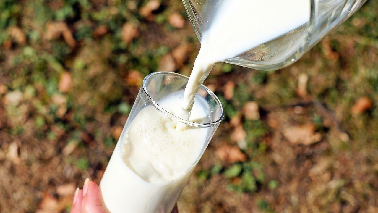 Embrapa constata terceira queda consecutiva no custo de produção do leite