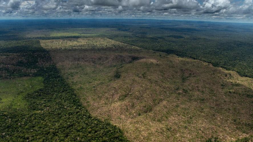 Tocantins lança iniciativa de crédito de carbono para preservar florestas