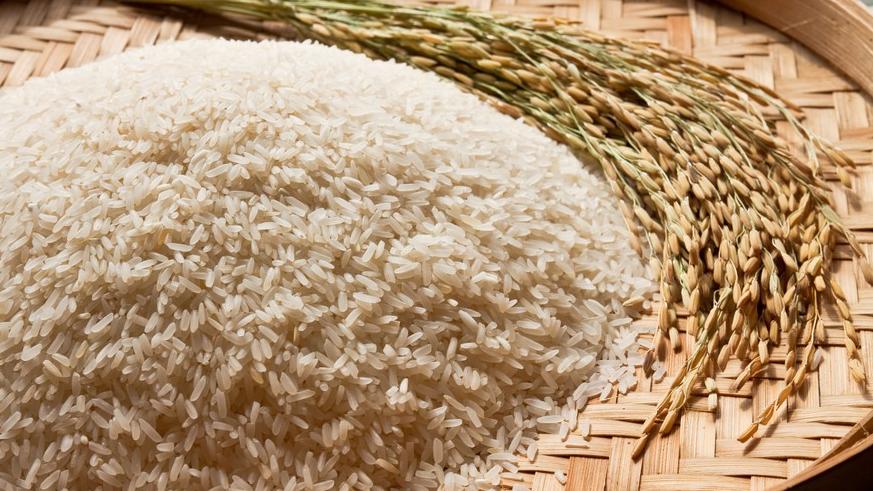 Isenção de imposto para importação de arroz de países fora do Mercosul