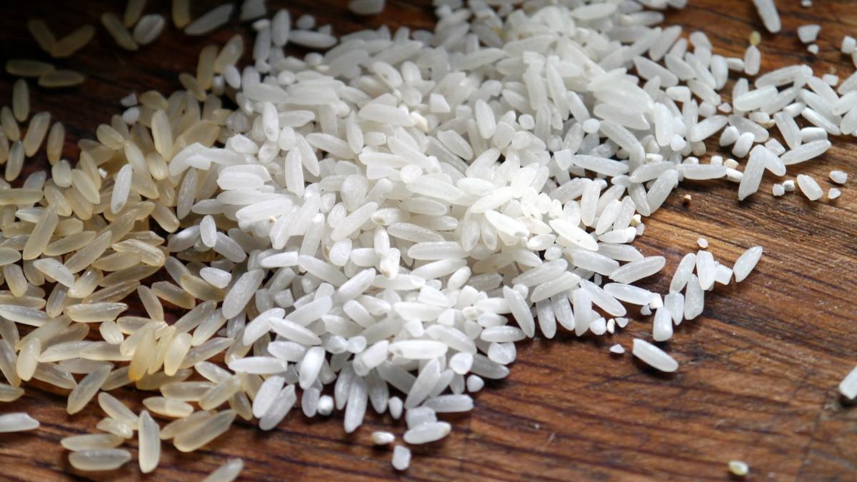 Produtores denunciam entrada de arroz importado