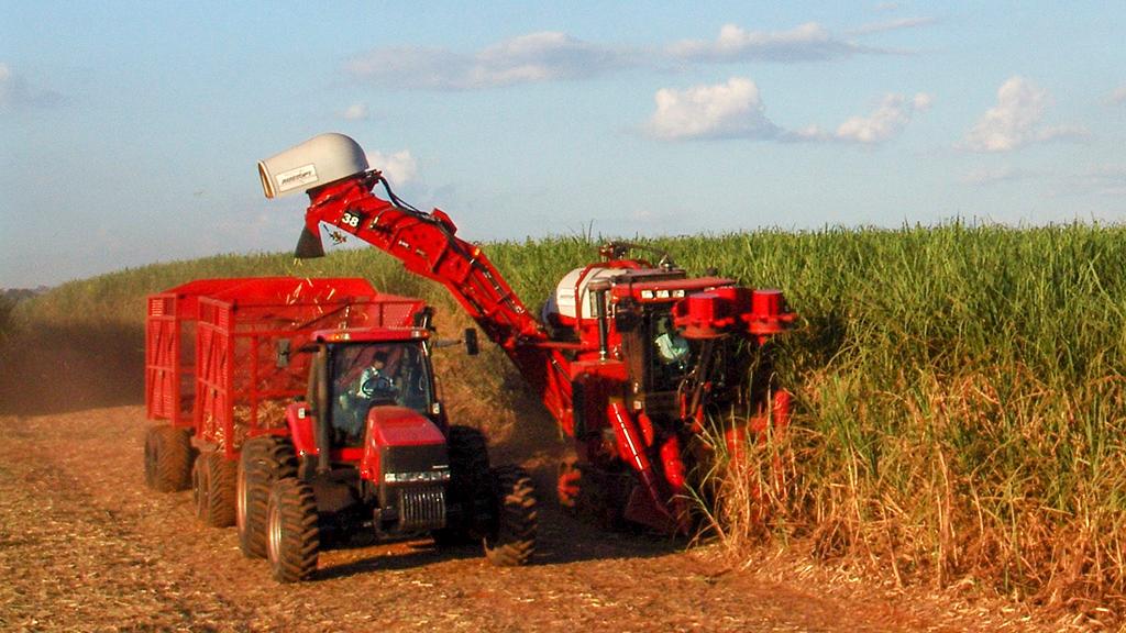 Aumento da oferta mantém preço do etanol em queda