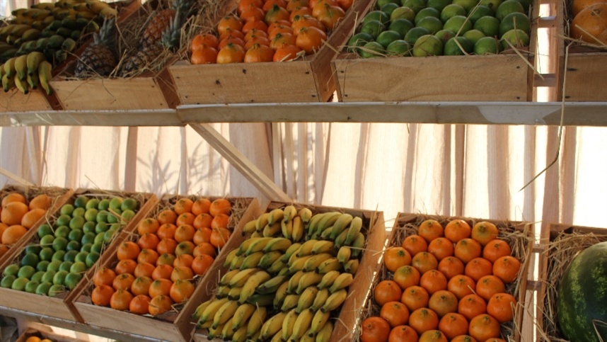 Impacto das baixas temperaturas nas frutas e hortaliças