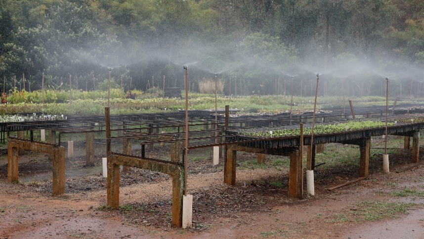 Aumento da demanda por produtos hortifrutigranjeiros impulsiona mercado de irrigação
