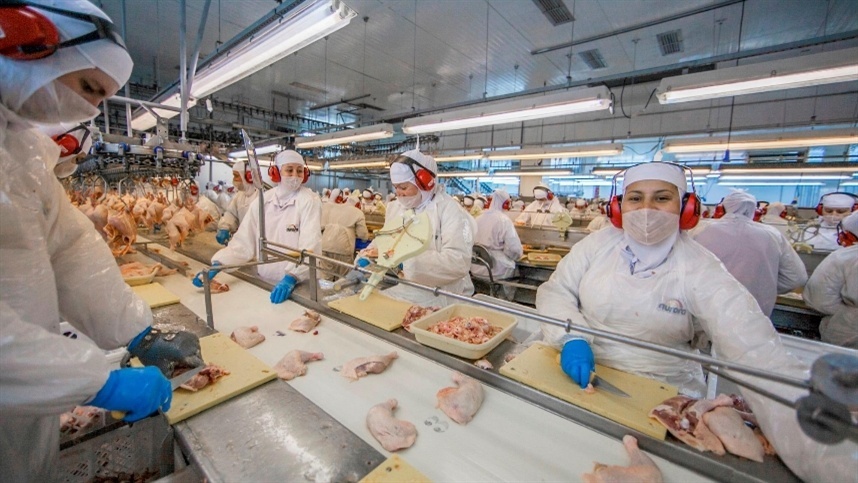 A Malásia agora permite a importação de carne de frango halal do Brasil