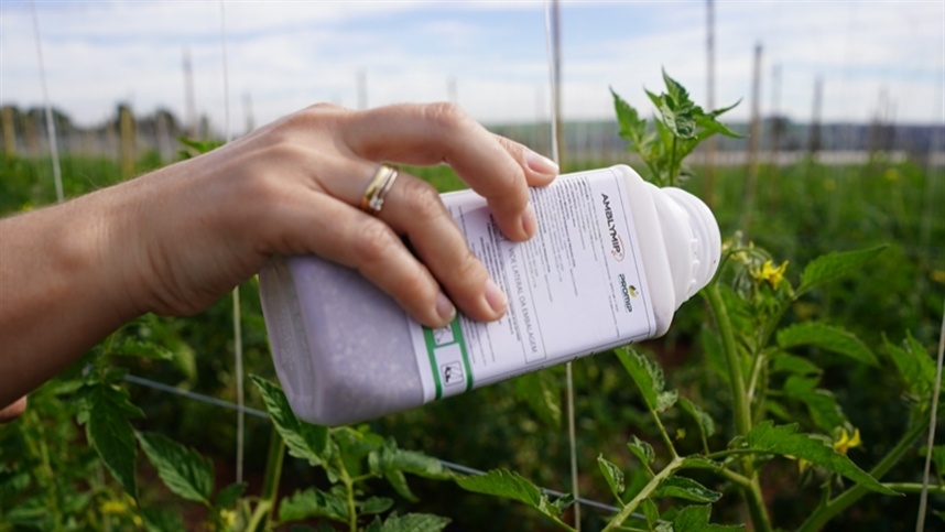 Novo empreendimento promete impulsionar biofábrica no Brasil