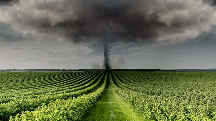 A importância do seguro rural na safra brasileira diante do clima instável e dos riscos constantes