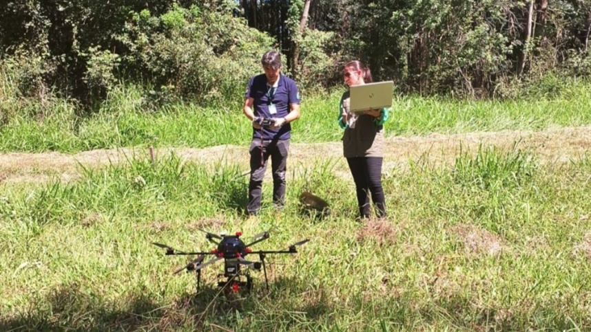 Pesquisa emprega drones no combate a praga em plantações de Acácia-Negra