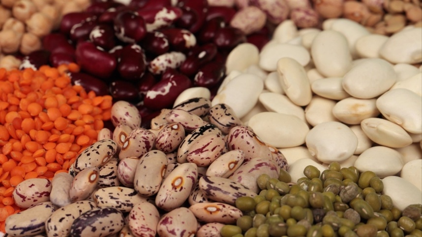 Uso de bioprodutos pode aumentar significativamente o retorno na cultura do feijão