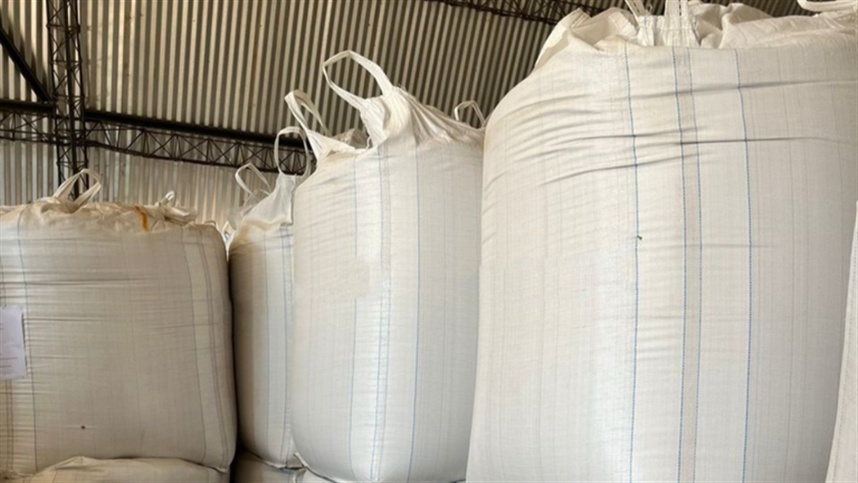 Apreensão de 350 toneladas de sementes irregulares