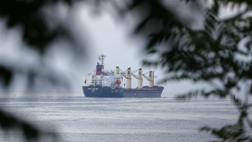 Carga de milho brasileiro é alvo de ataque em navio no Mar Vermelho