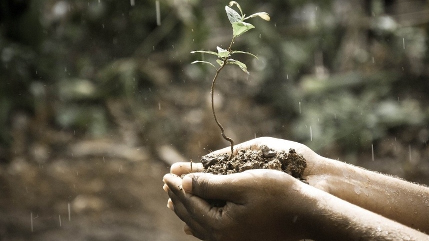 Impactos na agricultura causados por La Niña e El Niño: consequências para o setor agrícola