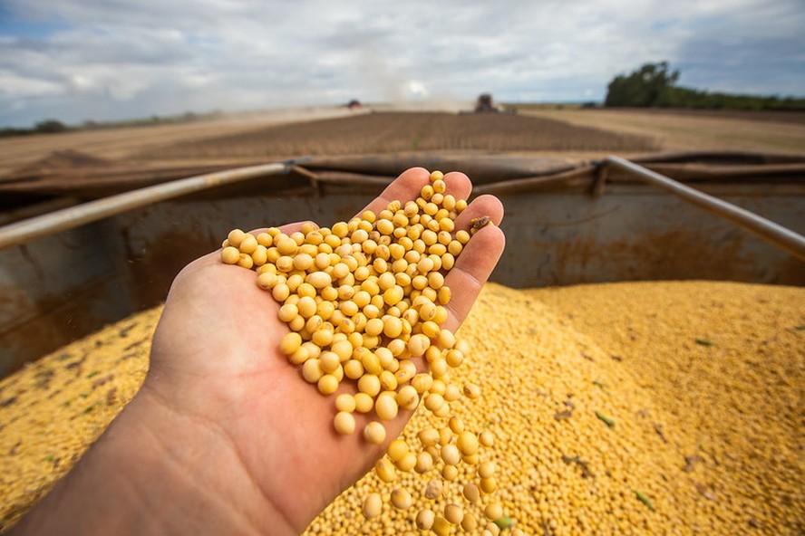 Preço da soja tem aumento significativo de quase 5% em Mato Grosso, atingindo R$ 113 por saca