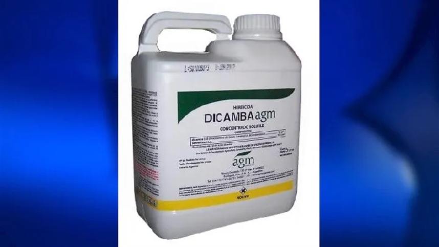 Decisão do Tribunal dos EUA proíbe uso do herbicida dicamba