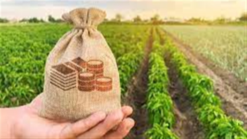 Diversas incertezas em torno da Reforma Tributária prejudicam o setor agropecuário