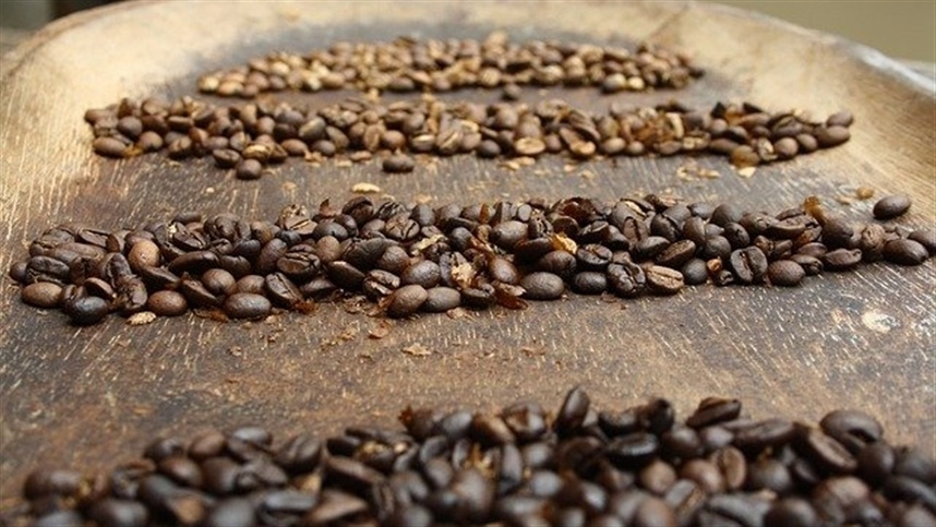 Brasil exporta grande quantidade de café, totalizando 42,80 milhões de sacas