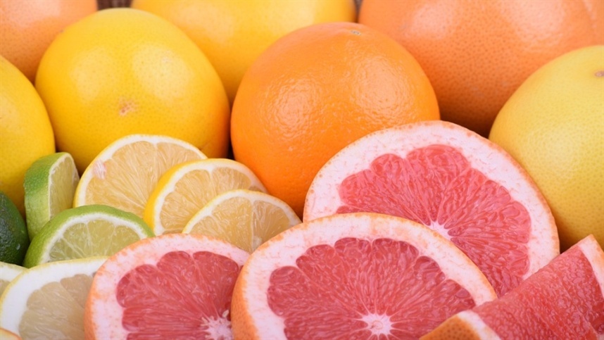 Pragas não são obstáculos para o sucesso na colheita de citros