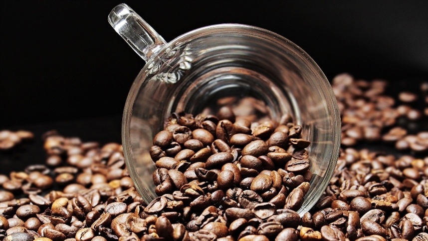 Projeto foca na identificação dos melhores clones de café para Mato Grosso