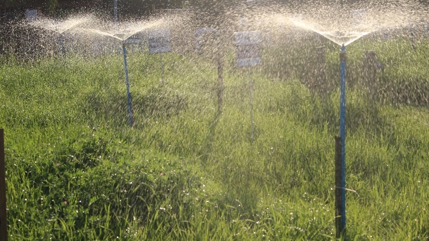 Introdução de novos programas de irrigação impulsiona crescimento do setor no RS