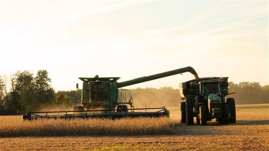 Produção de soja da Argentina diminui após revisão