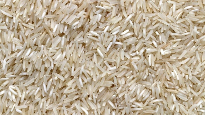Apenas 10% da colheita de arroz foi realizada no Rio Grande do Sul