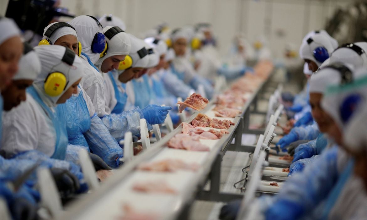 China e México voltam a adquirir carne de frango brasileira, porém excluem RS