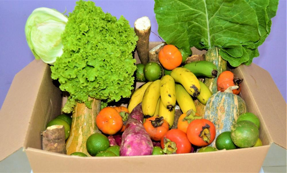 Alimentos e Bebidas continuam em crescimento, com aumento de 0,61% em abril no IPCA-15
