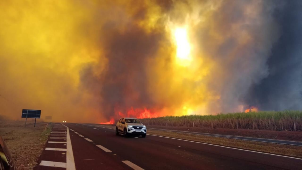 Orplana condena os incêndios em Ribeirão e afirma que produtores não são culpados