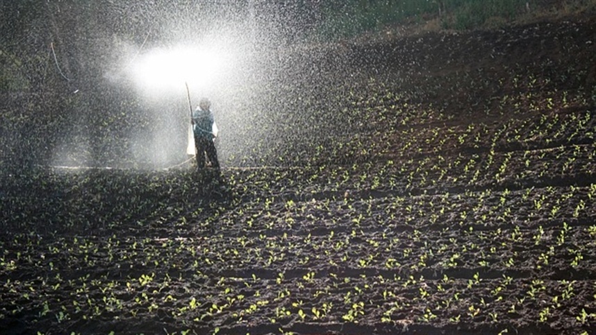 Micronização de fertilizantes aprimora produtividade em cultivos de soja e cana-de-açúcar