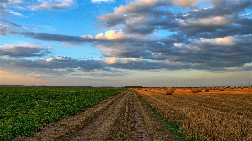 Possível mudança no setor agrícola europeu devido a protesto de agricultores