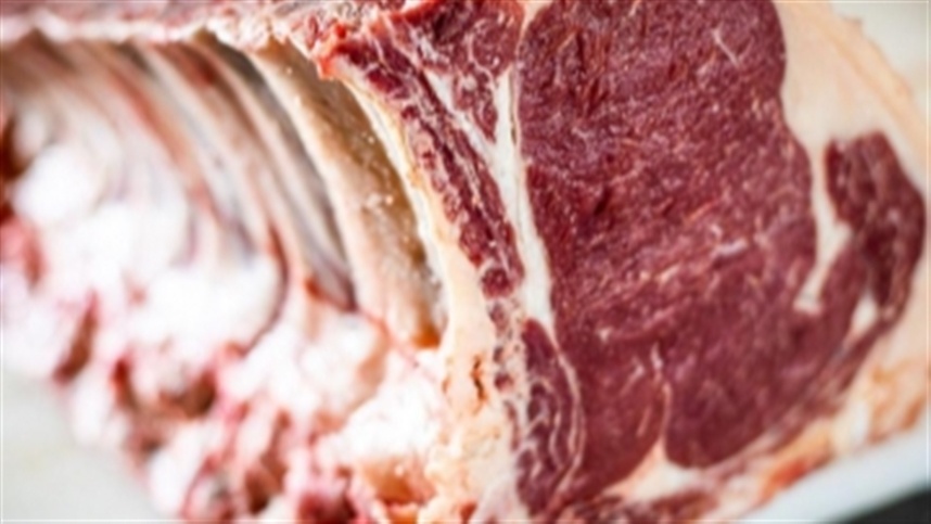 Frigorífico se prepara para inaugurar a maior planta de carne do continente