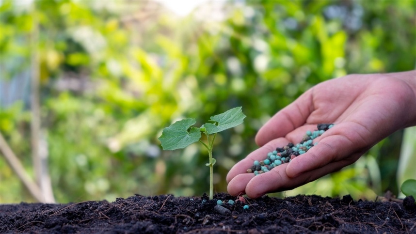 Perspectivas e tendências do mercado de fertilizantes: o que esperar?