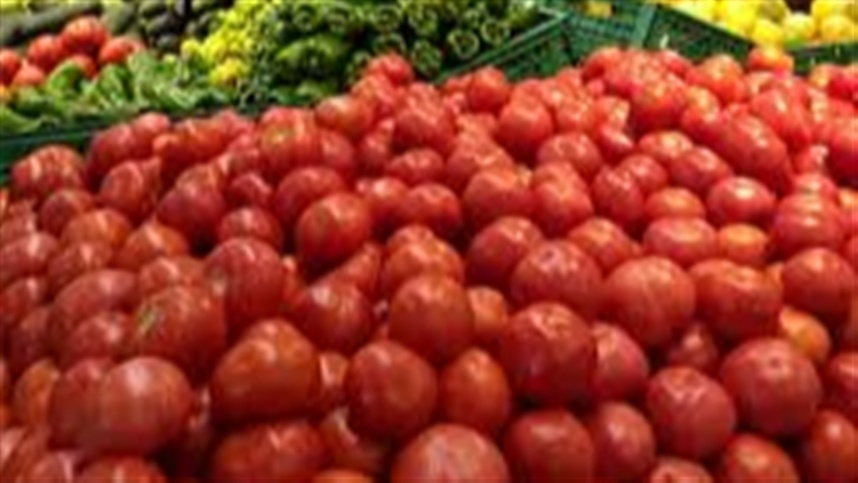 Tomate tem redução nos preços nas últimas semanas