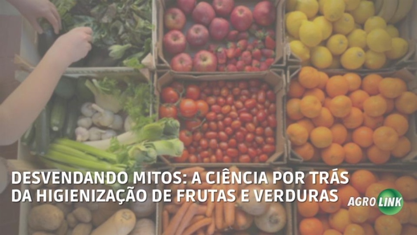 A importância da ciência na higienização de frutas e verduras