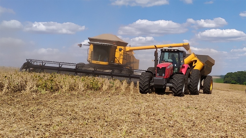 Desafios climáticos ameaçam a produção de soja e Aprosoja destaca riscos econômicos
