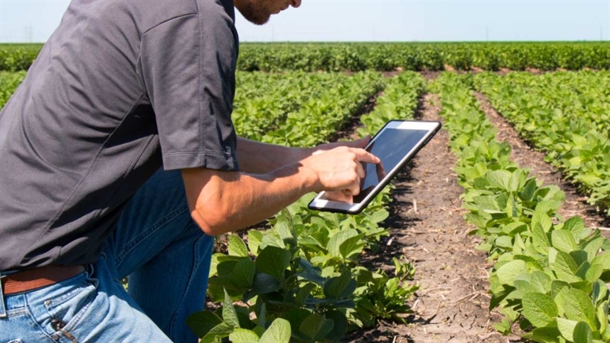 Inteligência artificial como ferramenta para auxiliar na agricultura